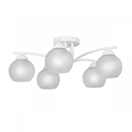 Vitaluce V4285-0/5PL