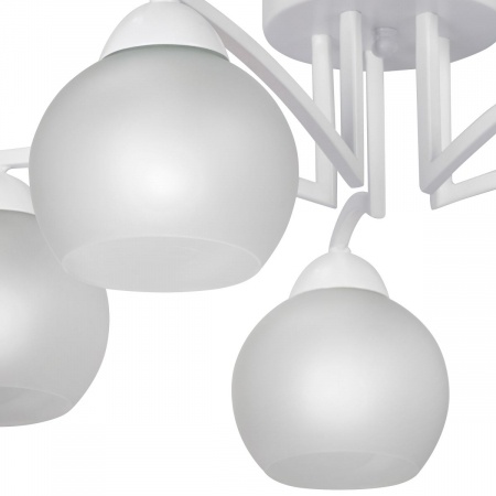 Vitaluce V4285-0/5PL