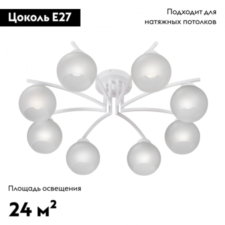 Vitaluce V4285-0/8PL