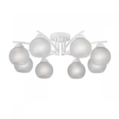 Vitaluce V4285-0/8PL