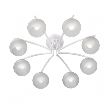 Vitaluce V4285-0/8PL