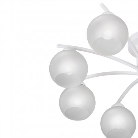 Vitaluce V4285-0/8PL