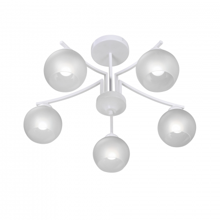 Vitaluce V4286-0/5PL