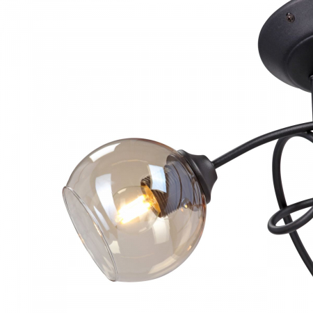 Vitaluce V43090-13/3PL