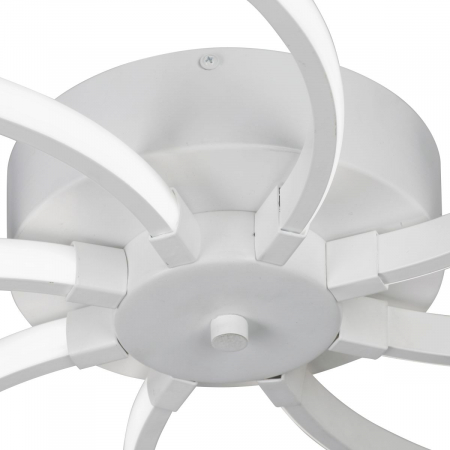 Vitaluce V4685-0/8PL