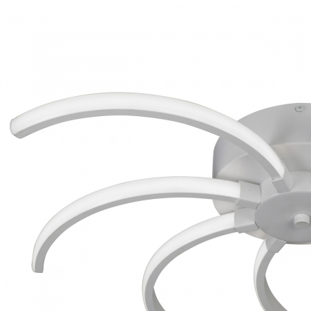 Vitaluce V4685-0/8PL