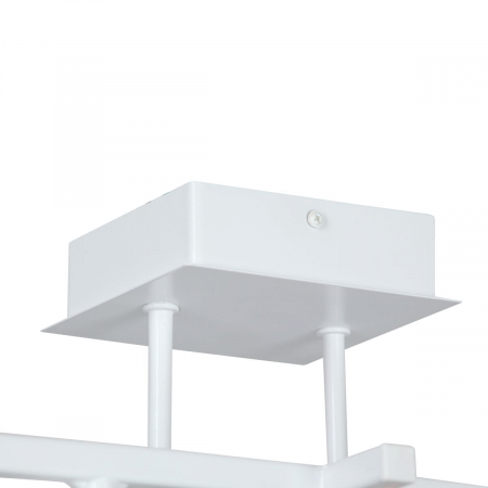 Vitaluce V4797-0/4PL