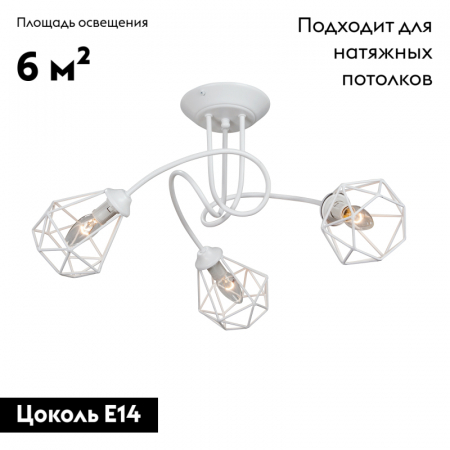 Vitaluce V4930-0/3PL