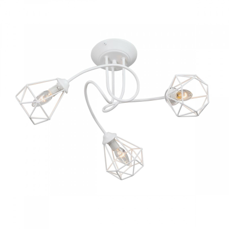 Vitaluce V4930-0/3PL