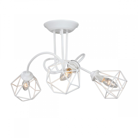 Vitaluce V4930-0/3PL