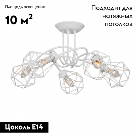 Vitaluce V4930-0/5PL