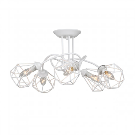 Vitaluce V4930-0/5PL