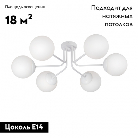 Vitaluce V4995-0/6PL