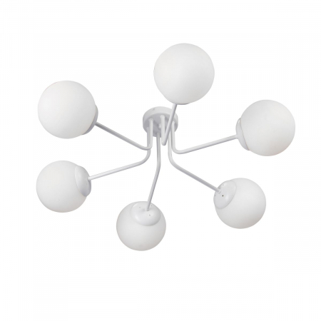 Vitaluce V4995-0/6PL