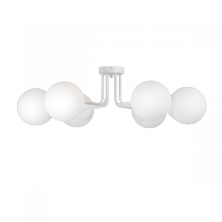 Vitaluce V4995-0/6PL