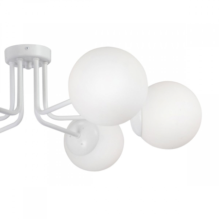 Vitaluce V4995-0/6PL