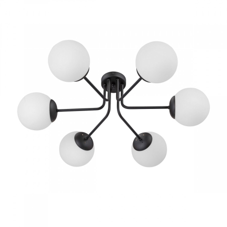 Vitaluce V4995-1/6PL