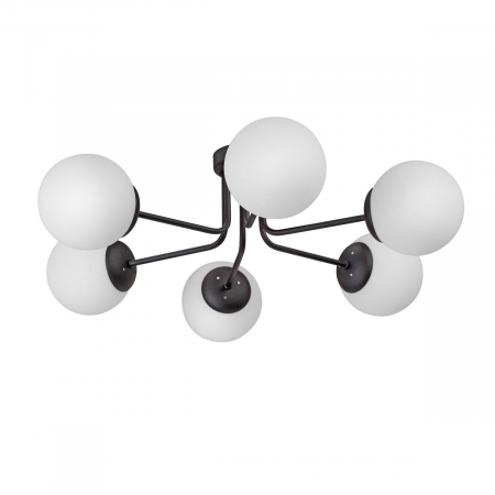 Vitaluce V4995-1/6PL