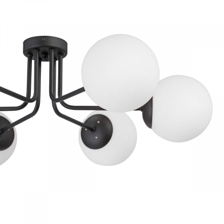 Vitaluce V4995-1/6PL