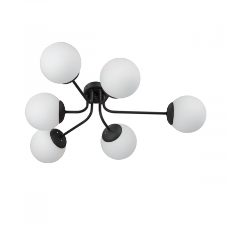 Vitaluce V4996-1/6PL