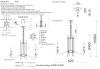Crystal Lux AURELIO SP6 GOLD+CHROME/TRANSPARENT