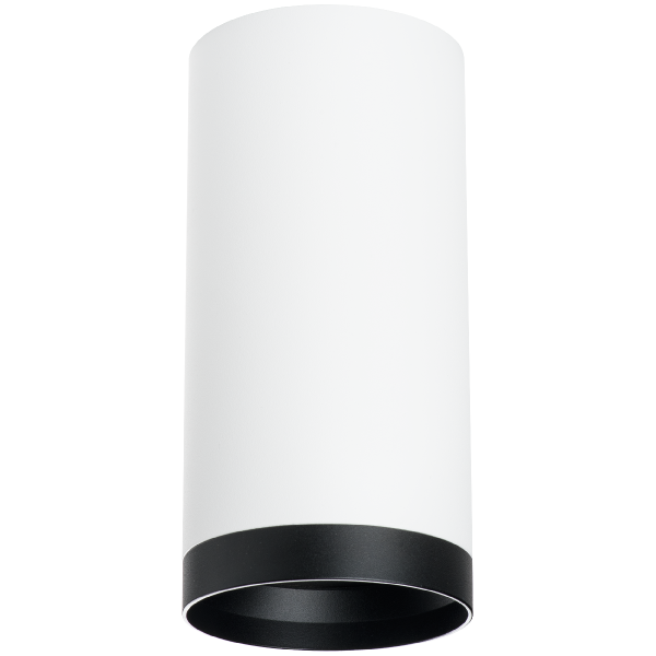 Накладной светильник Lightstar Rullo R64863487 (216486+203487)