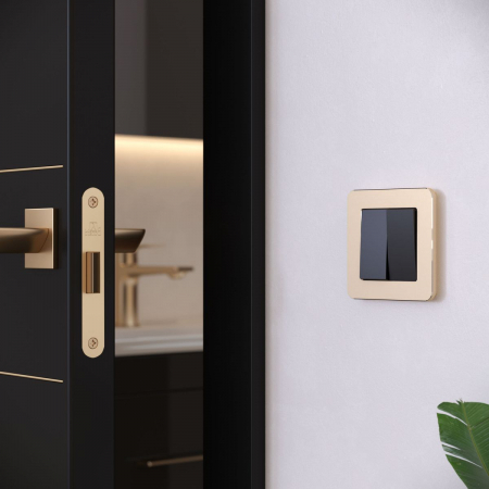 Werkel 4690389184437