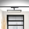 Novotech 358893