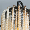 MW-Light 443010908