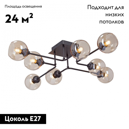 Vitaluce V47950-13/8PL