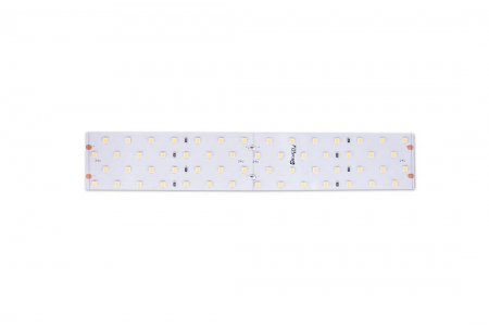 Designled 00-00000531