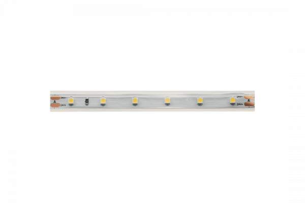 Светодиодная лента DesignLed DSG360-24-W-65 003110