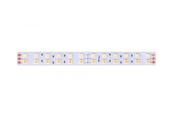 Светодиодная лента DesignLed DSG5120-24-W+WW-33 000515