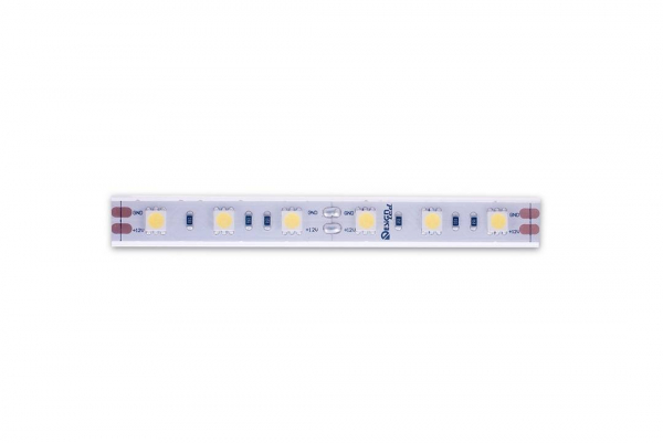 Светодиодная лента DesignLed DSG560-12-W-65 000518