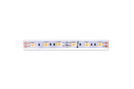 Designled 00-00000519