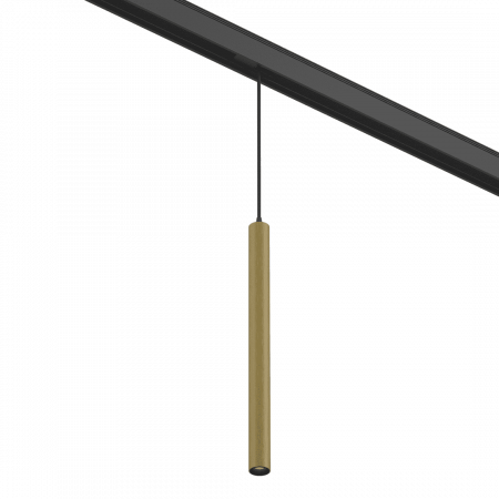 SWG PRO 00-00004838