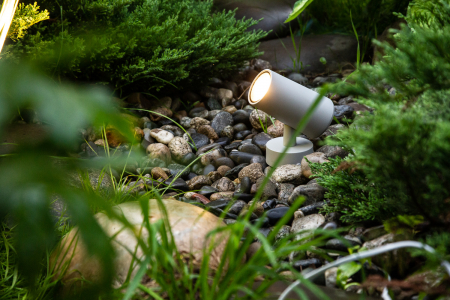 Designled 00-00006809