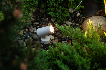 Designled 00-00006809