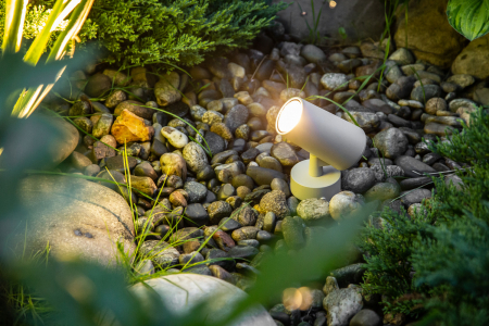 Designled 00-00006809