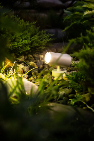 Designled 00-00006809