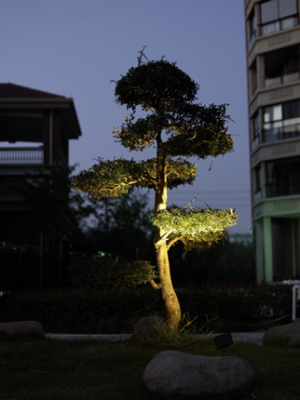 Designled 00-00007622