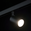 Lumker 00-00013681