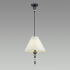 Odeon Light 4896/1