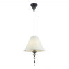 Odeon Light 4896/1