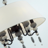 Odeon Light 4896/5A