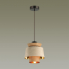 Odeon Light 4992/1