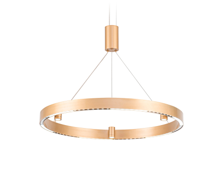 Ambrella Light FL5846