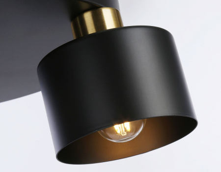Ambrella Light TR8121