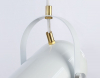 Ambrella Light TR8205