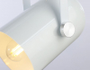 Ambrella Light TR8205